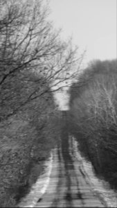 Spring road, Winter road