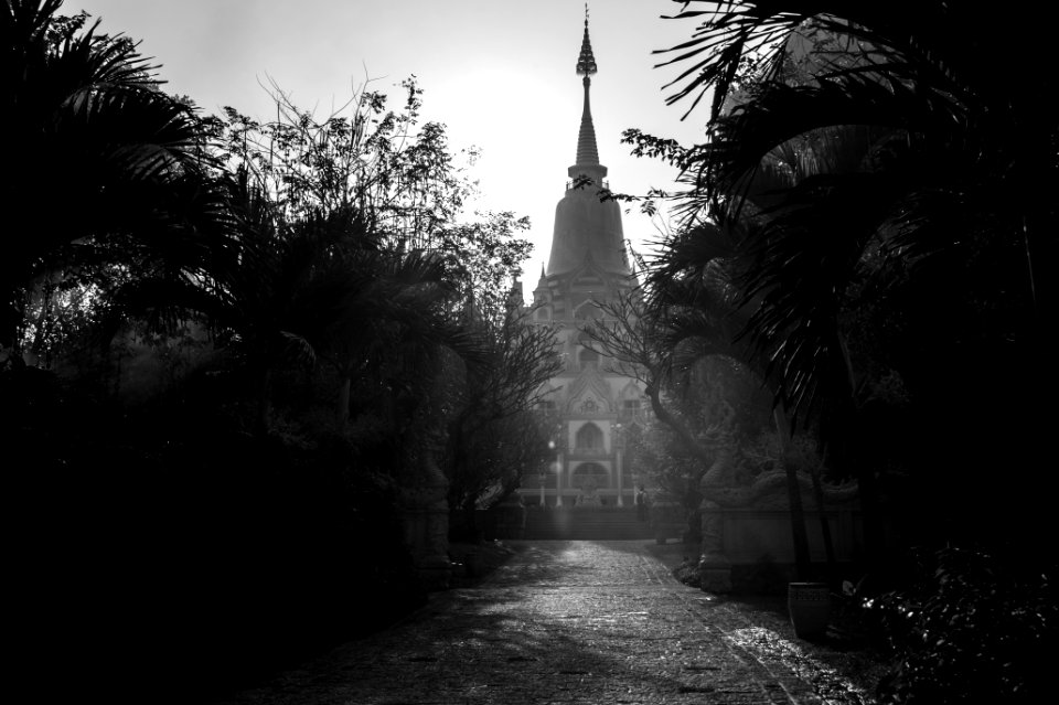 Cha bu long, Vietnam