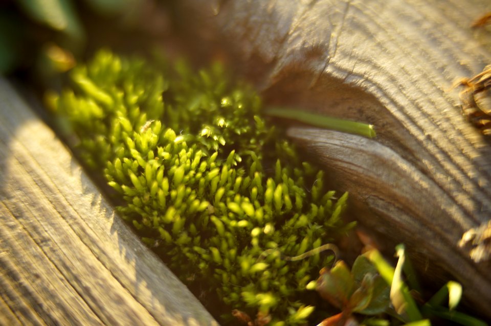 Tampere, Finland, Macro