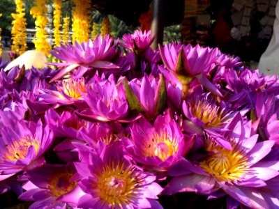 Sri lanka, Nawagamuwa, Temple