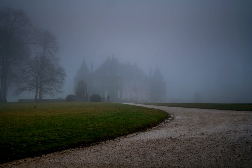 Belgium, Winter, Fog