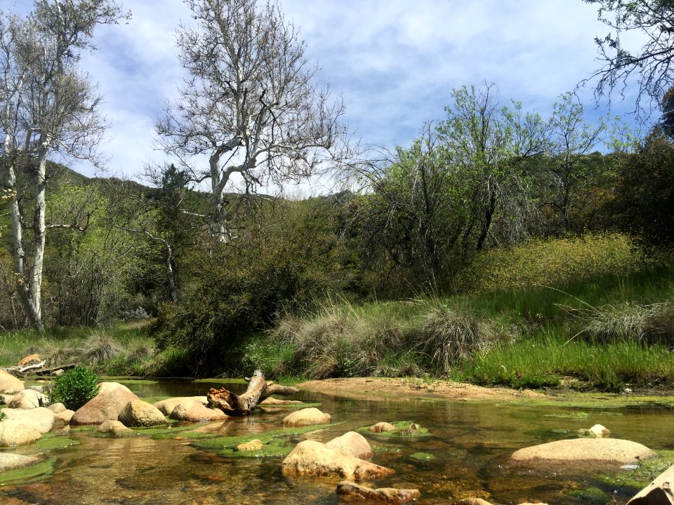 California, Crestline, United states