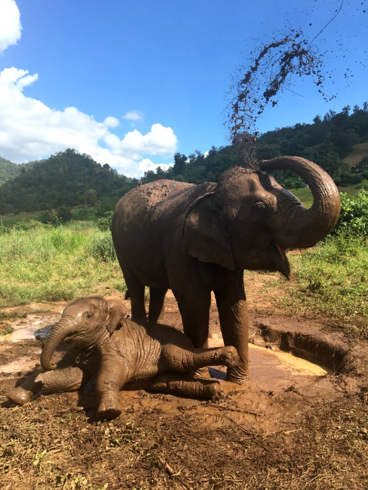 Thail, Kuet chang, Changwat chiang mai