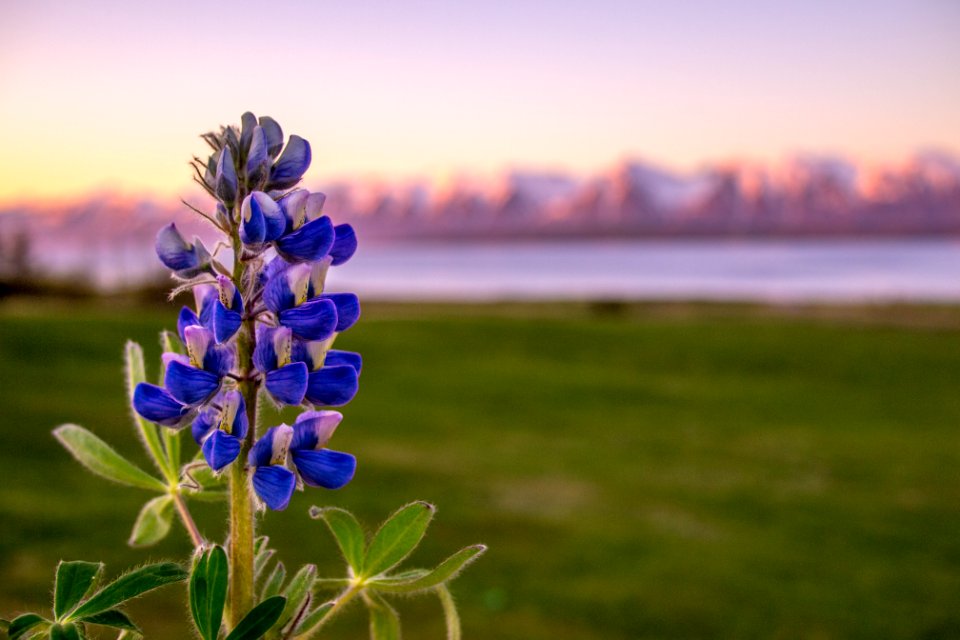 Vatnajkull national park, Iceland, In icel