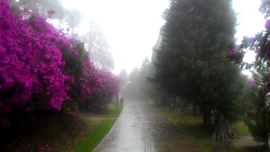 Apartamento lago negro, Gramado, Brazil