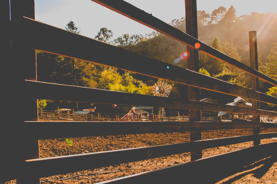 Tilden nature area, Berkeley, United states