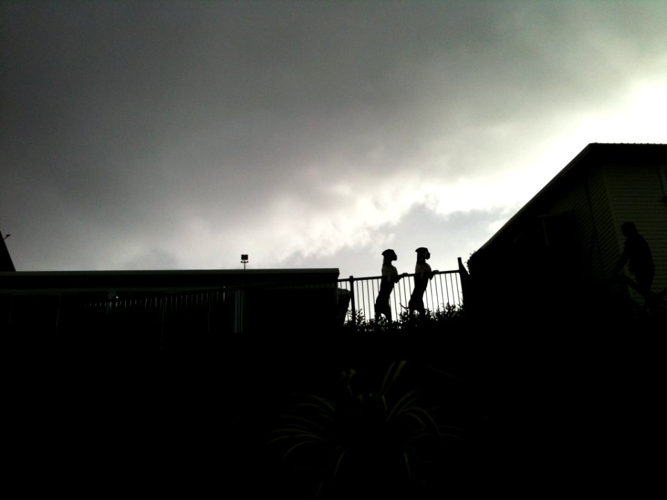 Terrigal, Australia, Silhouette