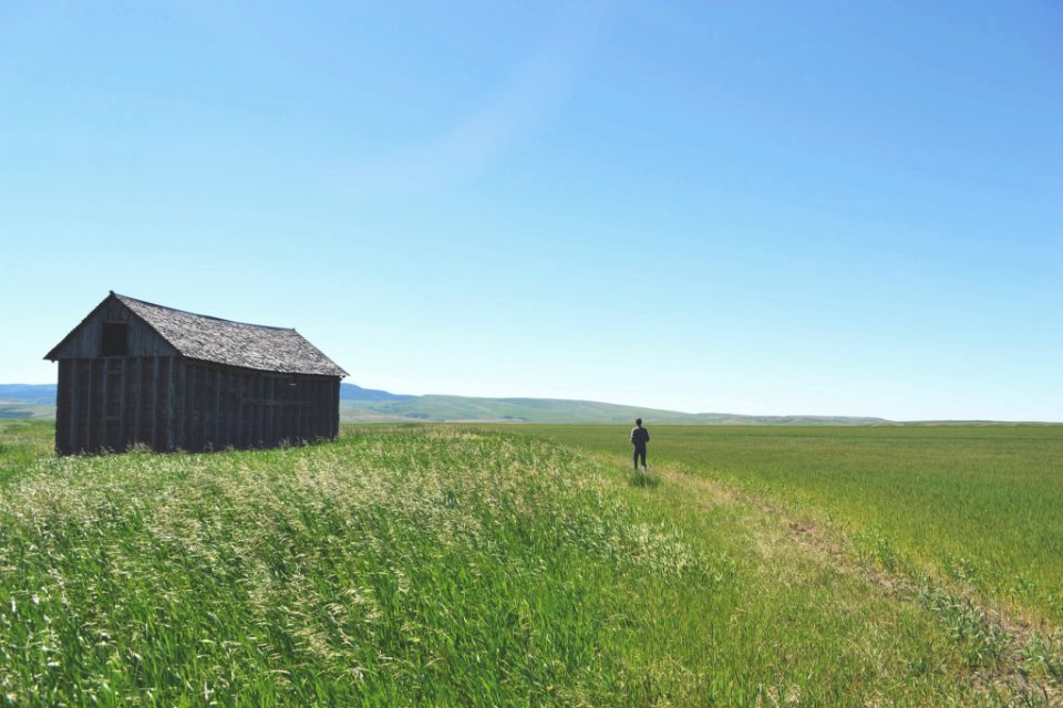 man walking on green grass field during daytime photo