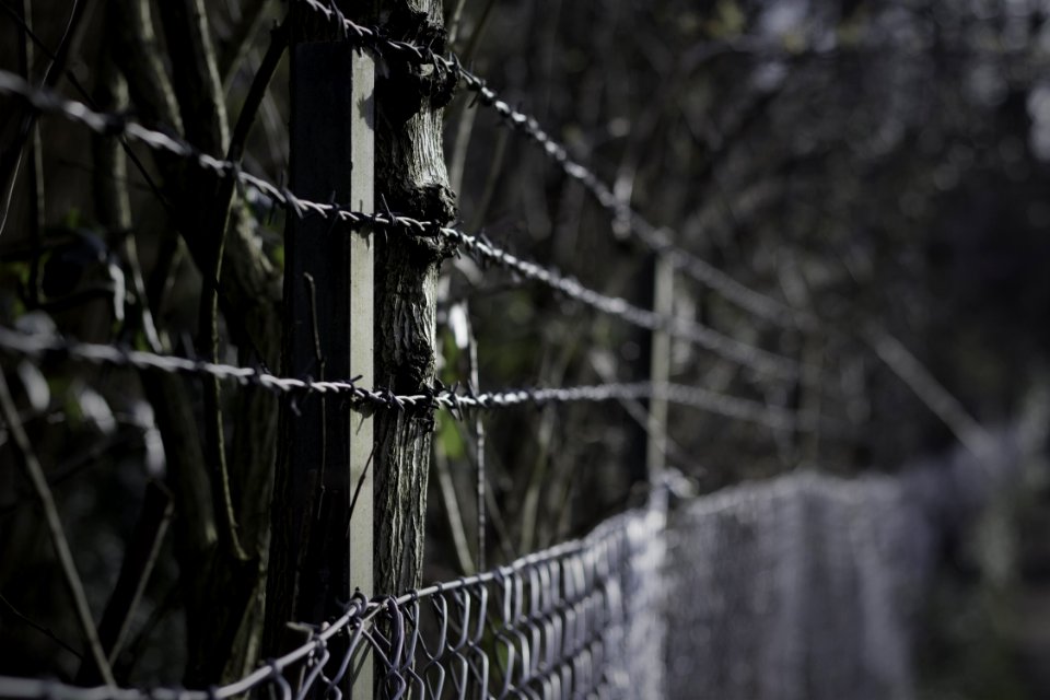 Bokeh, Fence, Wire