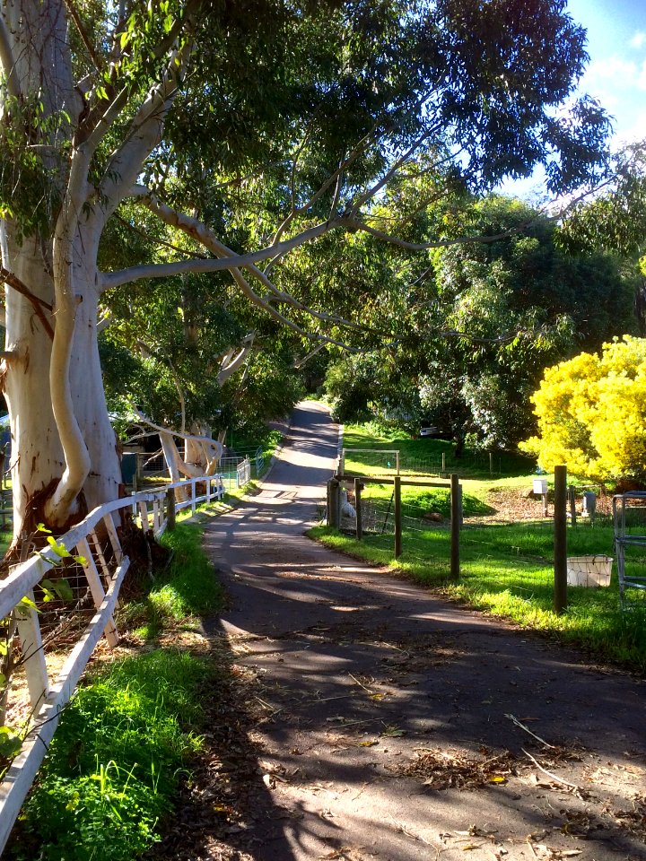 Bedfordale, Australia, Farm