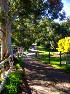Bedfordale, Australia, Farm