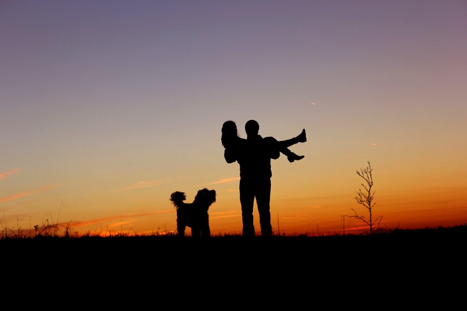 Engagment, Dog, Sunset photo