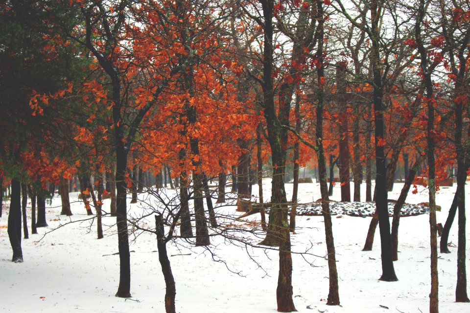 Edmond, United states, Orange