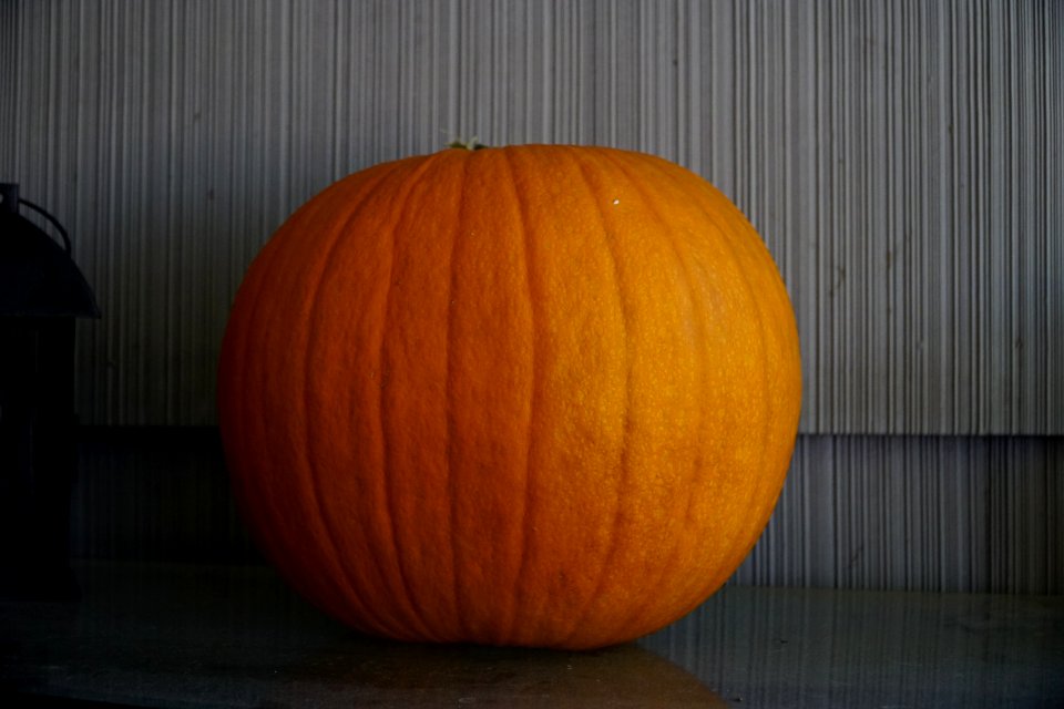 Thanksgiving, Fall, Autumn
