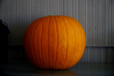 Thanksgiving, Fall, Autumn
