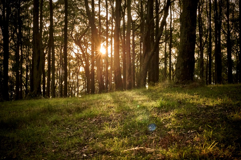 Burwood highway, Upper ferntree gully, Australia