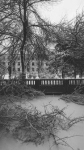 Horishni plavni, Ukraine, Home
