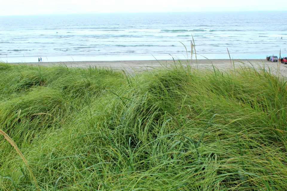 Astoria, United states, Waves