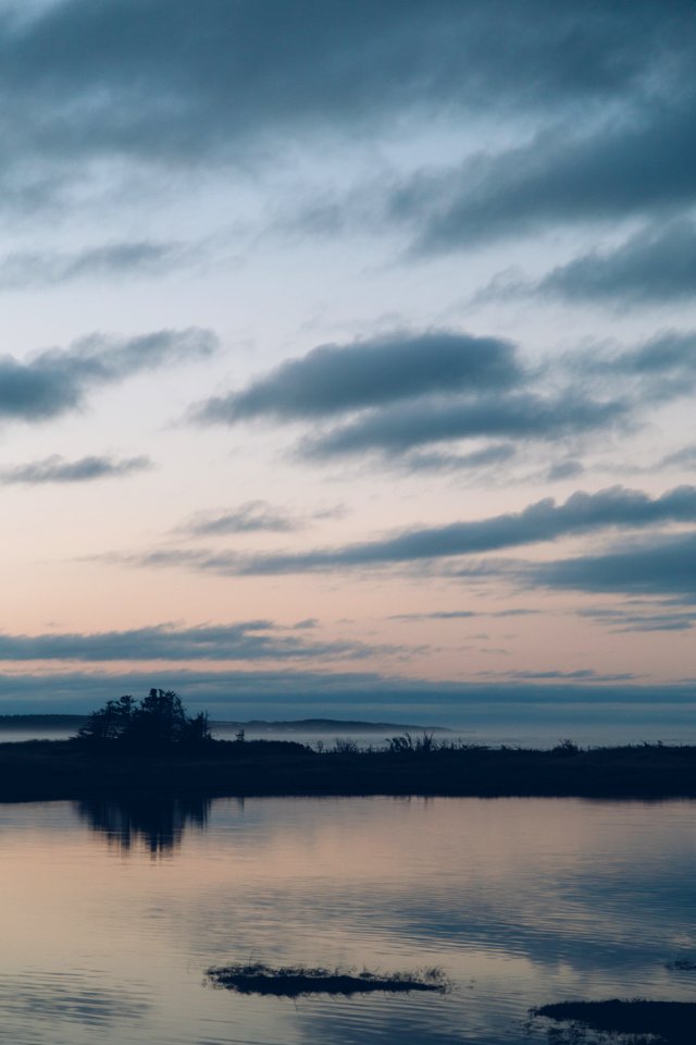 Robinsons Island,  road, North rustico