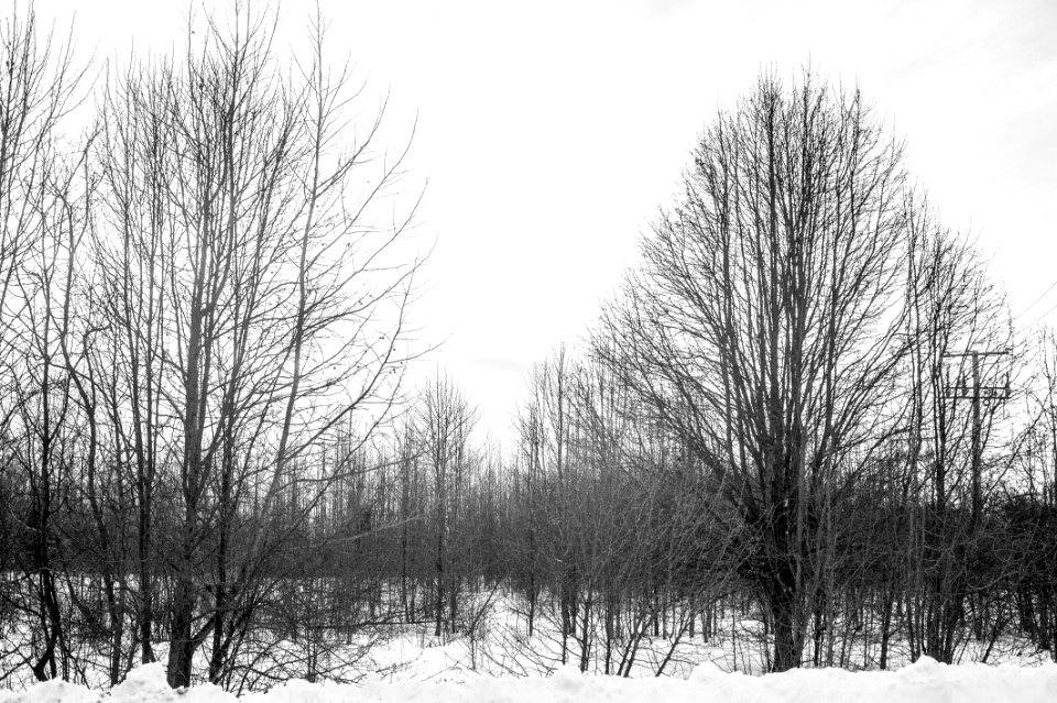 Bowie, United states, Snow