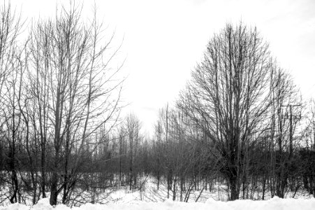 Bowie, United states, Snow