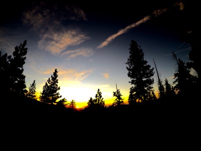 Sunset, Nature, Forest photo