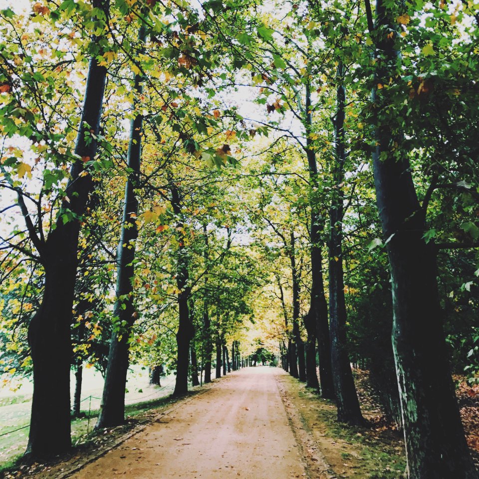 Vidago, Portugal, Vila real district
