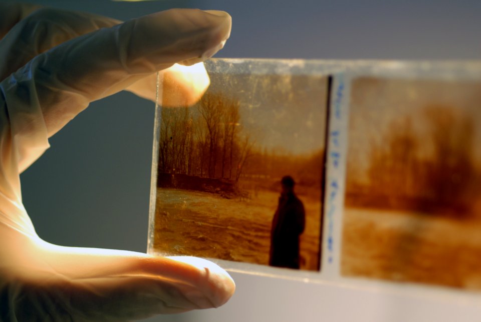 Photolibrary, Museum de toulouse, Toulouse
