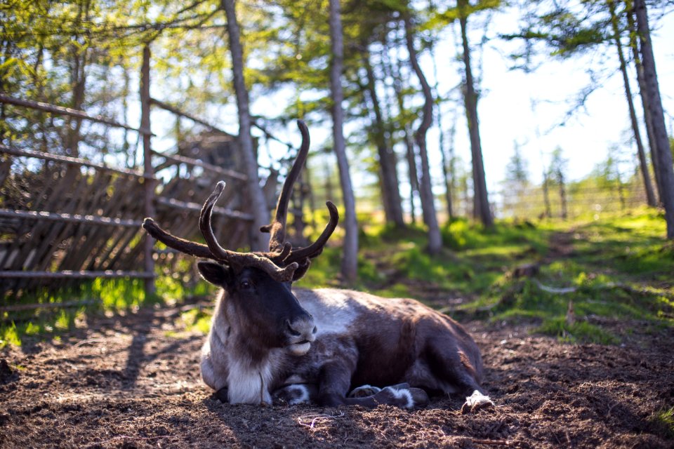 Magadan, Russia, Kolyma