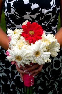 Bridesmaid, Bouquet, Flowers photo