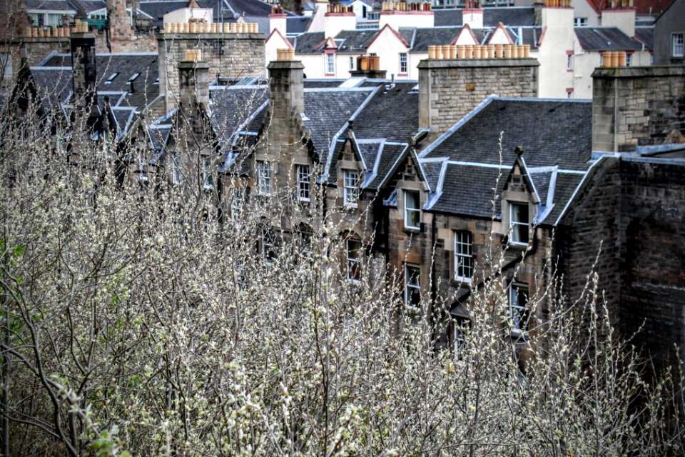 Edinburgh, United kingdom, Urban