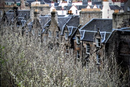 Edinburgh, United kingdom, Urban