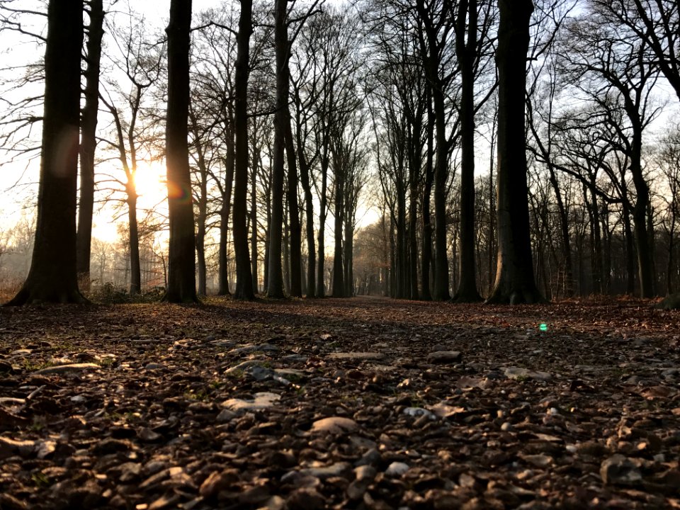 Lanaken, Ers, Belgium