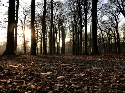 Lanaken, Ers, Belgium