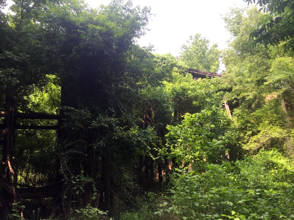 Tuscaloosa, United states, Ruin