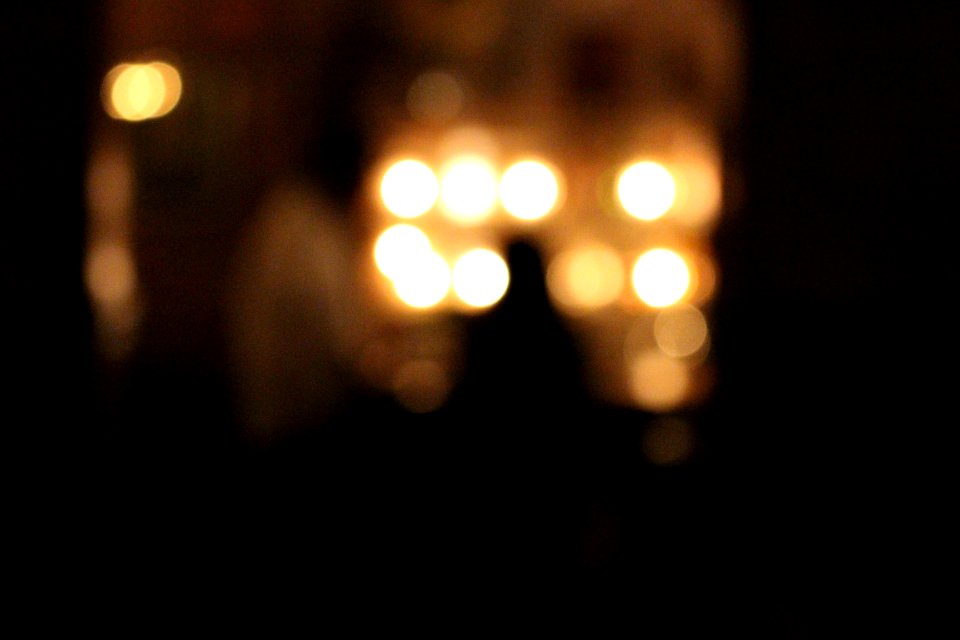 Asheville, Lex 18  asheville southern appalachian restaurant  moonshine craft cocktail bar  live jazz, United states