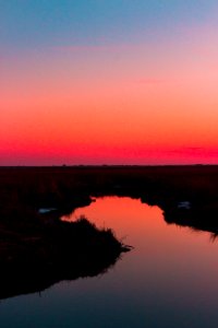 Sunrise, Cattail, Sunset