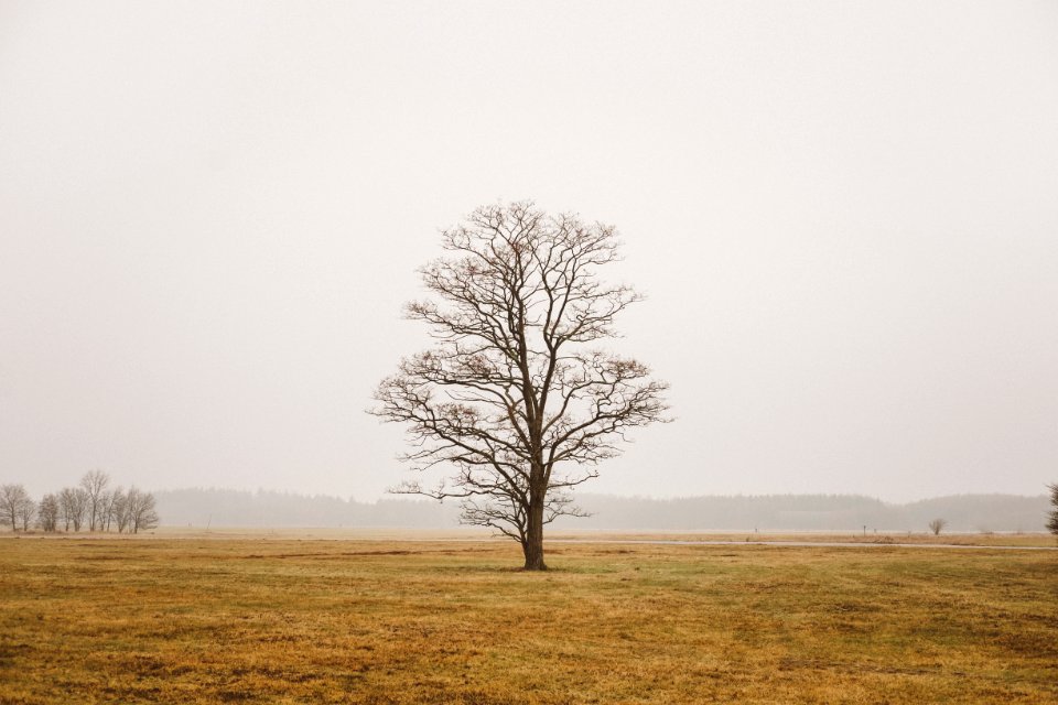 Vliegbasis soesterberg, Utrecht, Netherl photo