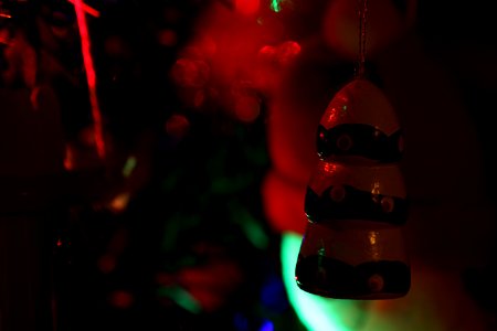 Lights, Tree, Ornament photo
