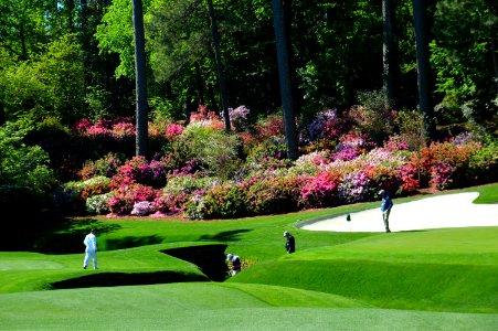 The masters golf course, United states