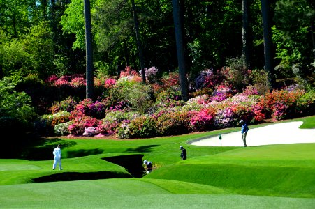 The masters golf course, United states photo