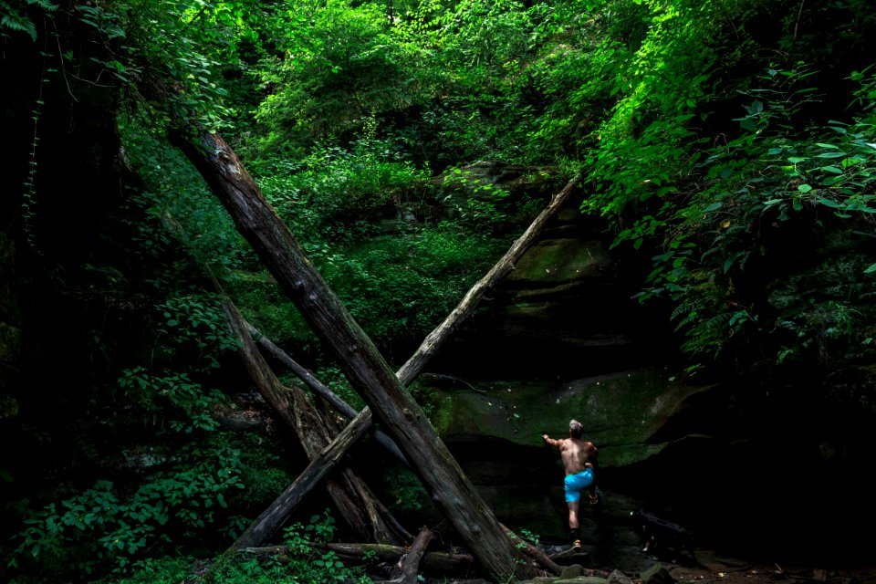 Ohio, United states, Woods