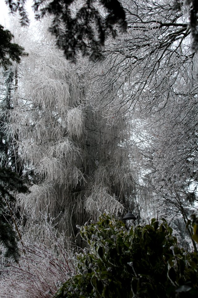 Friedrichroda, Germany