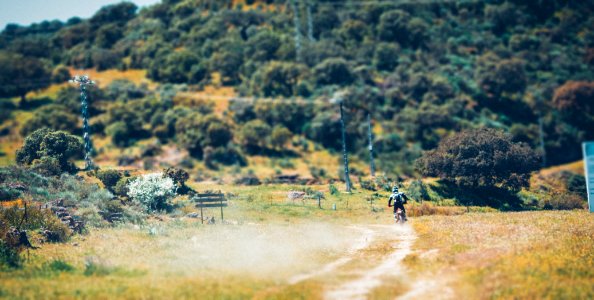 Spain, Nature, Motociclete