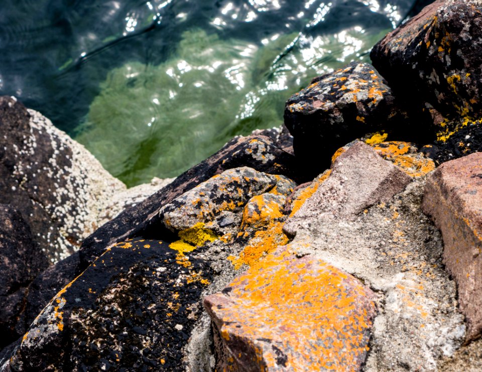 Waves, Orange, Blue