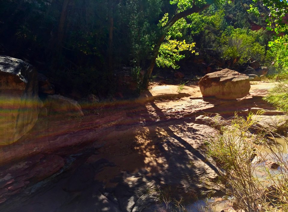 Zion national park, United states, Zion canyon hike