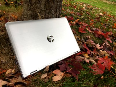 Office, Work, Outside