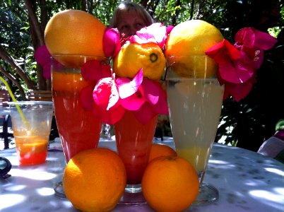 Lemonade, Lemon, Buenganvila