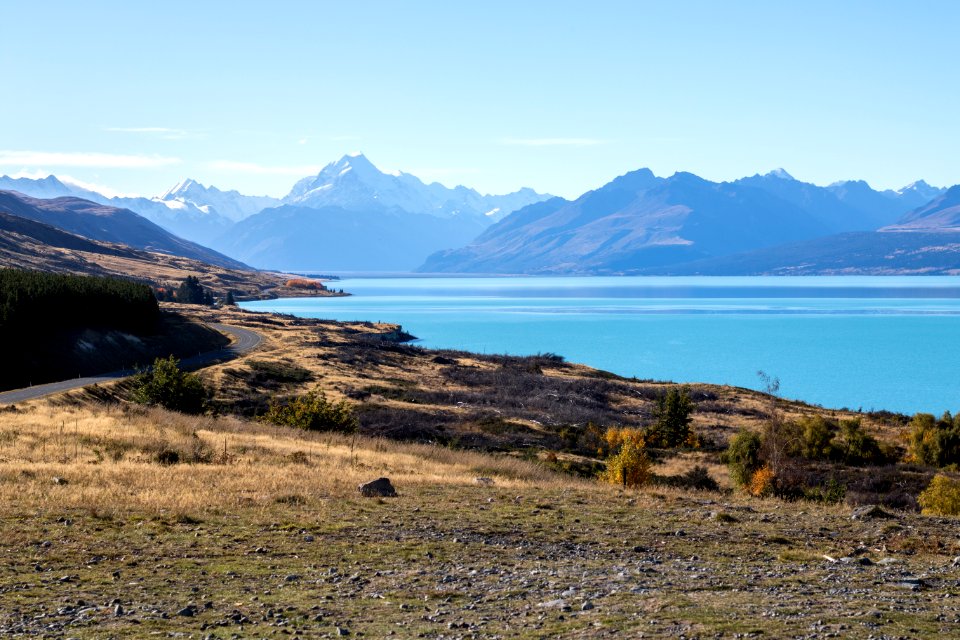 Lake pukaki, New Zealand, Trees