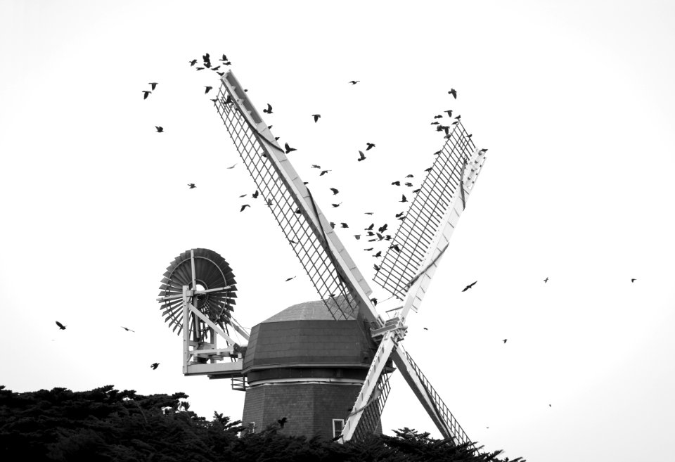 Dutch windmill, San francisco, United states